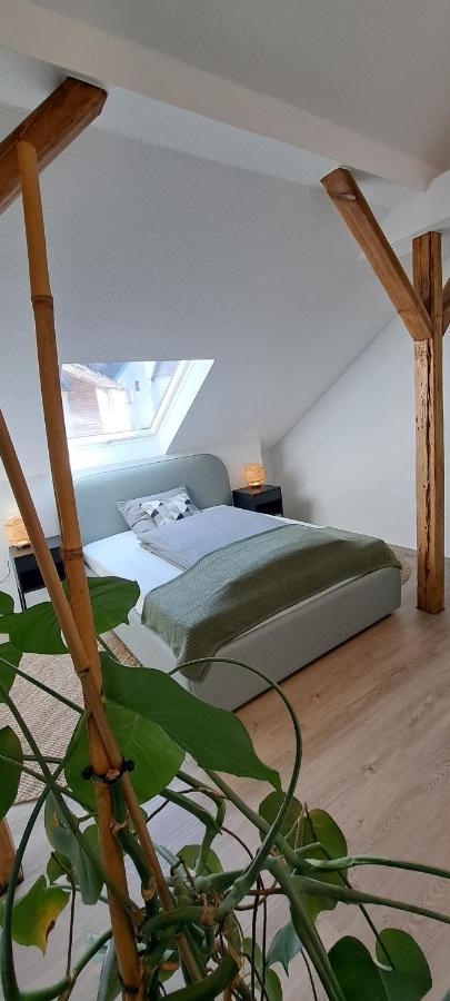 Waldstadt-Apartments Iserlohn Extérieur photo